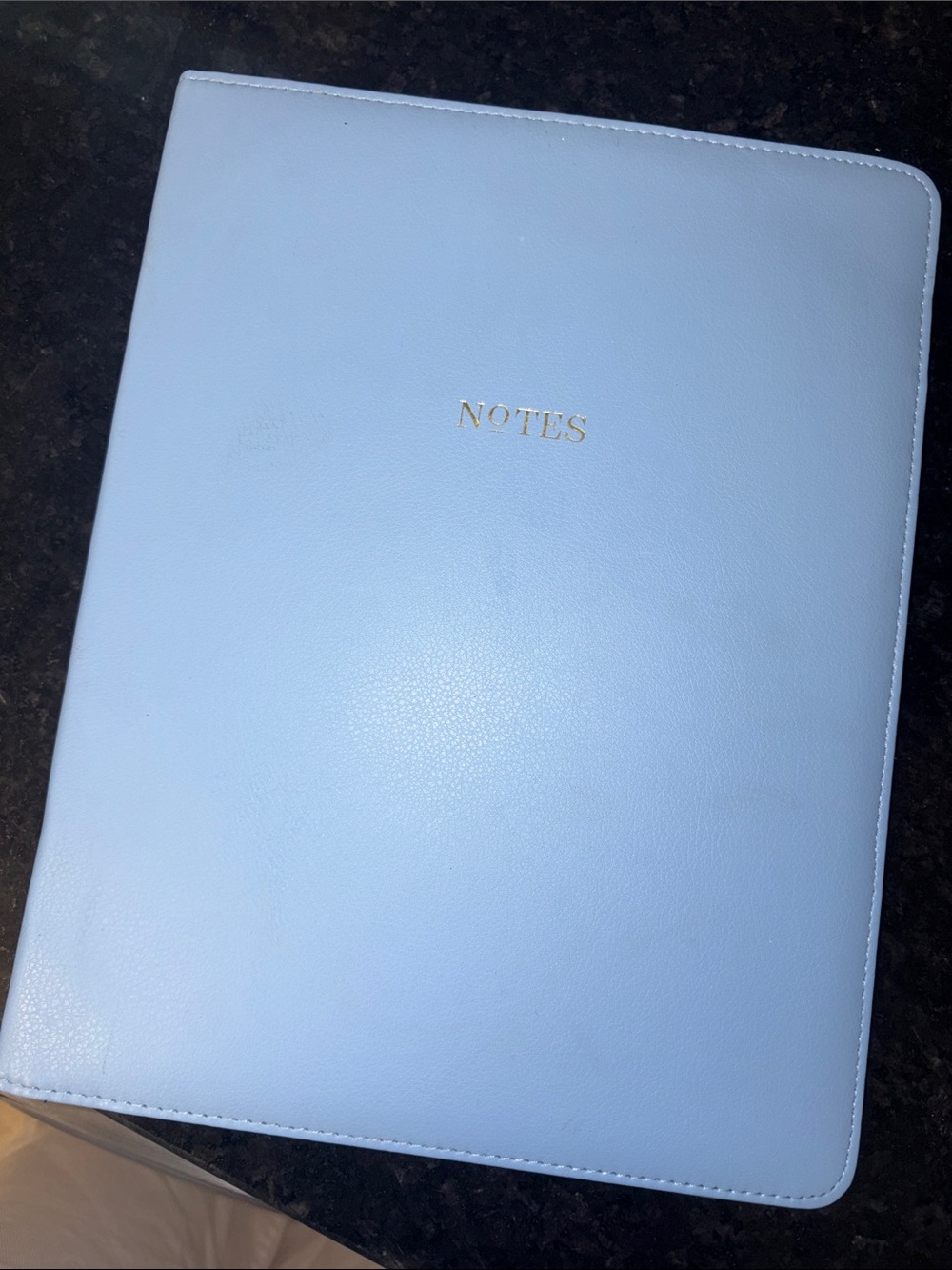 Day Designer for Blue Sky Faux Leather PadFolio Assortment, Dusty Blue